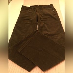 🌸POLO STRETCH CORDUROY PANTS 🌸